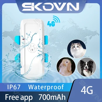 Новейший настоящий 4G Водонепроницаемый GPS-трекер для домашних животных, отслеживающий в реальном времени Поиск собак, LTE GSM GPS-Локатор, Гусеничный гео-забор, бесплатное приложение